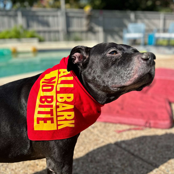 A proud dog wearing the All Bark No Bite Dog Bandana, showcasing its playful spirit. This accessory makes a great Texan gift and a fun way to celebrate your furry friend with a Texas vibe, perfect for those looking for distinctive souvenirs from Texas and Dallas.