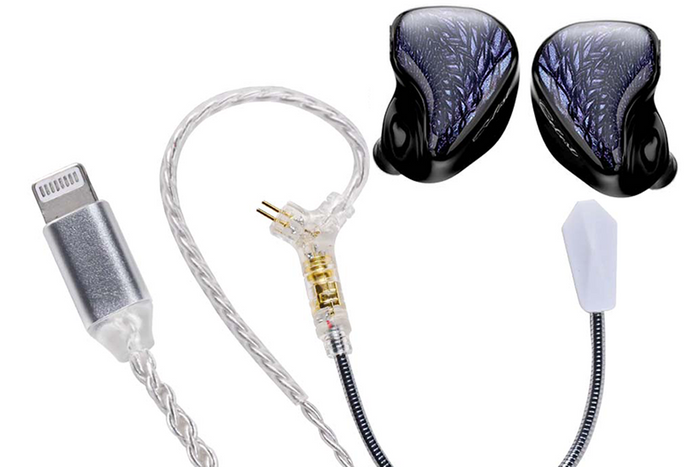 Lightning Dual Mic