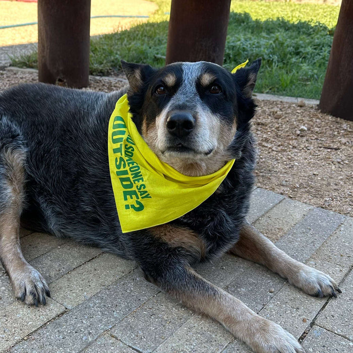 Happy dog wearing a vibrant yellow bandana that says 'Did Someone Say Outside?' This outdoor-ready accessory is a fantastic Texas themed gift, great for outdoor fun with your furry friend. It's a wonderful Texas made gift that highlights local pride, serving as an adorable Dallas souvenir and a perfect choice for Texan gifts.