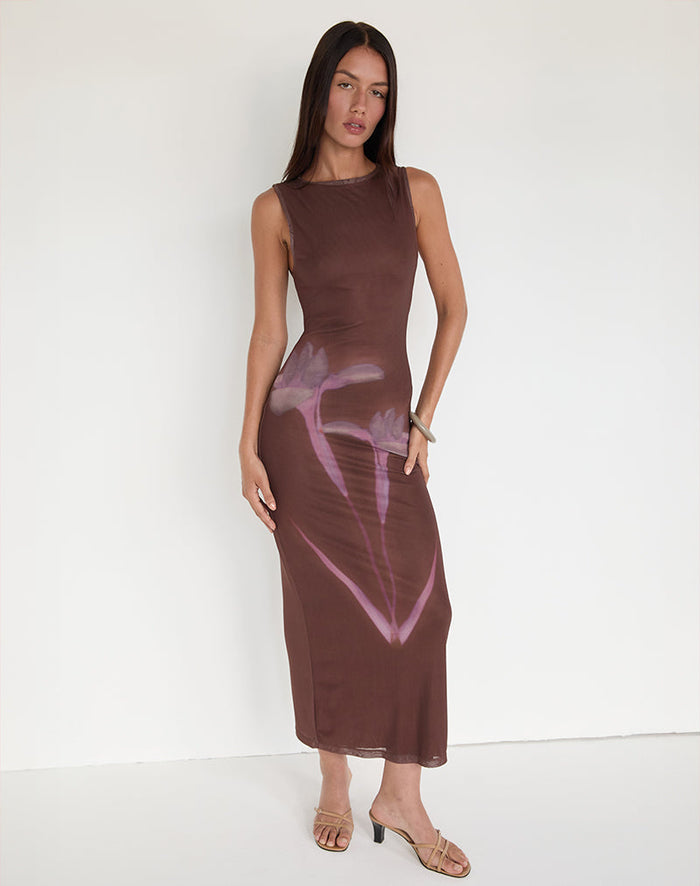 Image of Fayola Maxi Dress in Blurred Floral Print Brown