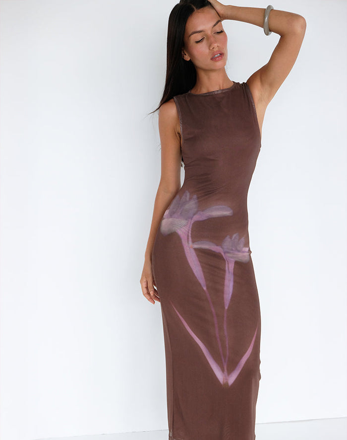 Image of Fayola Maxi Dress in Blurred Floral Print Brown