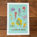 Flowers of Texas Art Print featuring a vibrant illustration of various Texas wildflowers. Perfect as a Texas themed gift, this artwork embodies the spirit of Texas and makes a unique souvenir from Texas, ideal for anyone looking for Dallas souvenirs or Texan gifts.