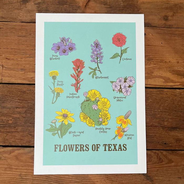 Flowers of Texas Art Print featuring a vibrant illustration of various Texas wildflowers. Perfect as a Texas themed gift, this artwork embodies the spirit of Texas and makes a unique souvenir from Texas, ideal for anyone looking for Dallas souvenirs or Texan gifts.