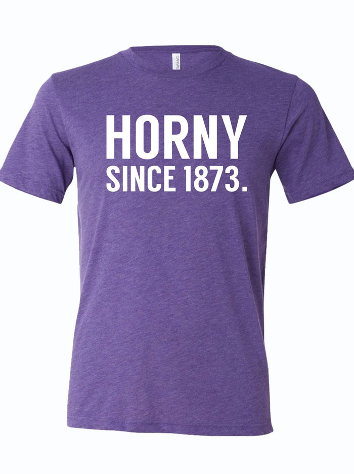 A purple shirt that reads "HORNY SINCE 1873" in white letters.