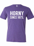 A purple shirt that reads "HORNY SINCE 1873" in white letters.