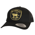 Metroplex Patched Curved Bill Hat showcasing a Dallas Metroplex patch on a black snapback, perfect for Texans looking for a stylish Texas themed gift, ideal as a souvenir from Texas or a unique Dallas souvenir.