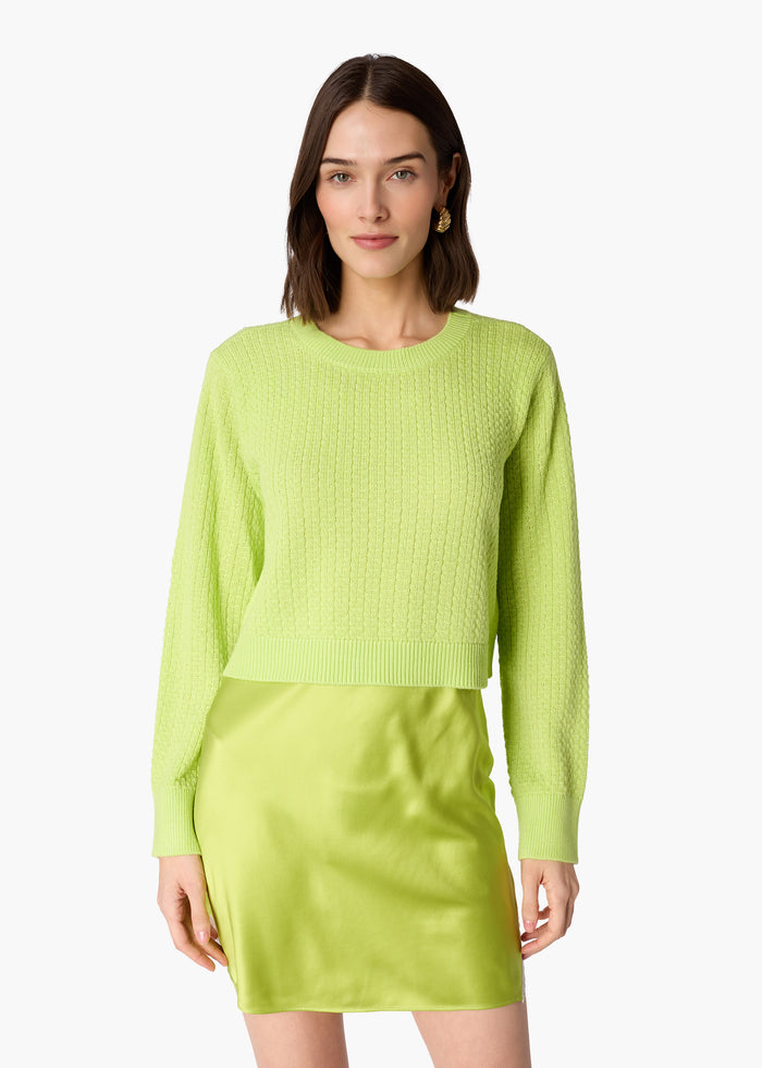 Pavitt Silk Mini Skirt Key Lime