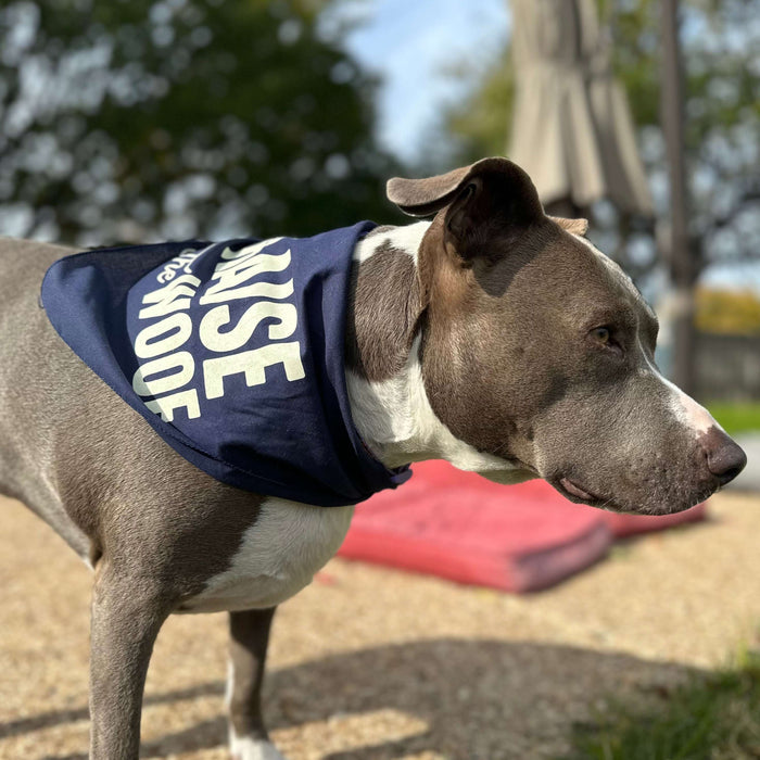 A playful dog wearing the Raise the Woof Dog Bandana, perfect as a Texas themed gift. This stylish accessory highlights Texas Made Gifts ideals and makes for a great souvenir from Texas. It's an adorable Dallas souvenir that every Texan would love.
