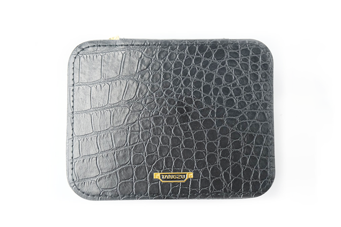 TANGZU Earphone Case MAX
