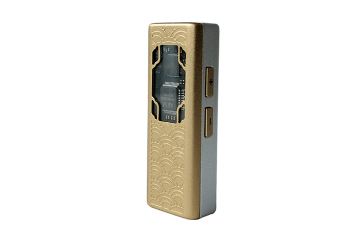 TANGZU YULINGLONG AK4493SEQ Portable DAC / AMP