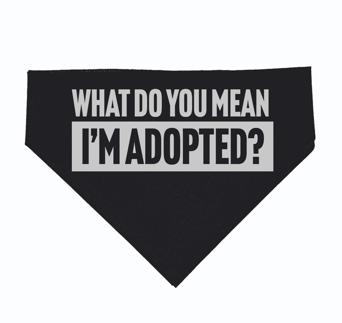 A stylish black dog bandana featuring the text 'What Do You Mean I'm Adopted?' perfect for a playful pet. This Texas themed gift is made from 100% cotton, making it a fun souvenir from Texas, ideal for showing off your Texan pride.