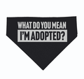 A stylish black dog bandana featuring the text 'What Do You Mean I'm Adopted?' perfect for a playful pet. This Texas themed gift is made from 100% cotton, making it a fun souvenir from Texas, ideal for showing off your Texan pride.